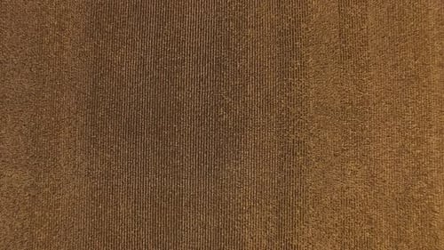 Aerial, descending drone view directly down on the rows of a planted farm field. Muted tones of brow