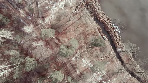 Cyclists ride on bicycles through forest near lake.