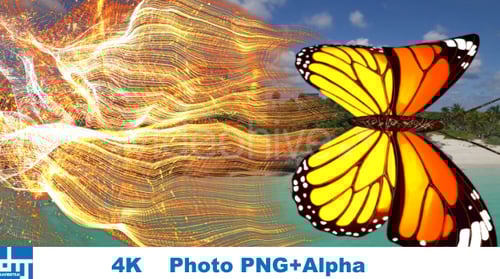 Flying Butterfly Fluid Particle Overlay