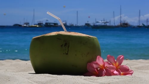 Frischer Kokosnusscocktail am Strand