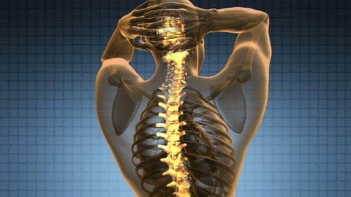 Rotating Glowing Human Spine 3D Medical Visualization