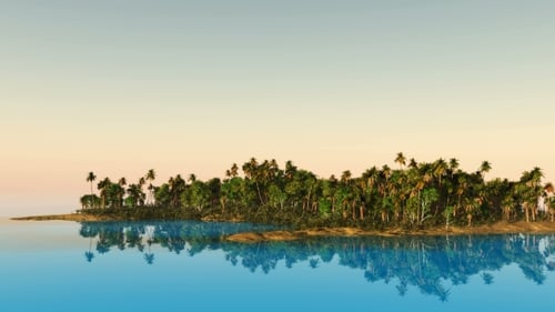 Tropical Island with Palms