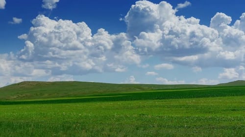 Grüner Hügel mit Gras unter bewölktem Himmel Zeitraffer