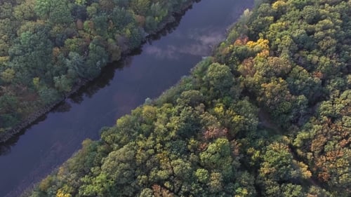 Shooting From Height Mouth of a Small River and Autumn Trees