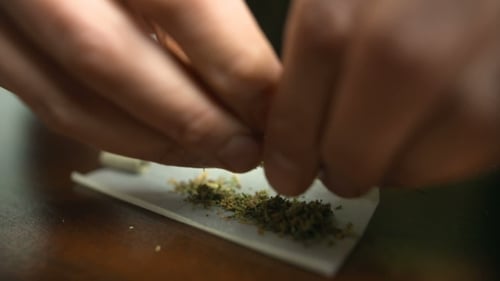 Hands Rolling Dried Material on Rolling Paper