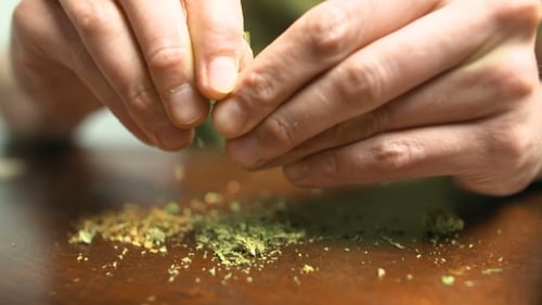 Hands Manipulating Green and Brown Material