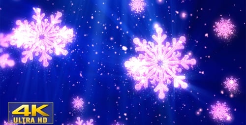 Festive Pink Glowing Snowflakes Falling Animation