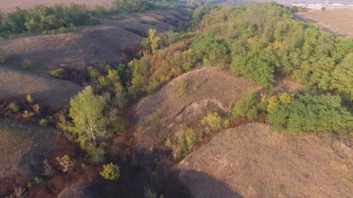Hilly Ravine with Autumn Trees, Bushes and Grass. Aerial View