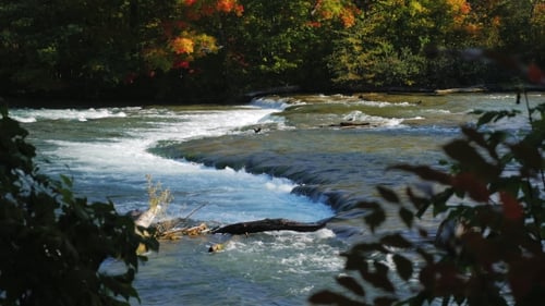 Einer der Zuflüsse des Niagara-Flusses vor dem Wasserfall. Klarer Herbsttag
