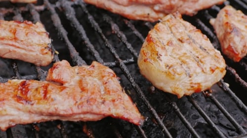 Beautiful and Delicious Cuts of Meat Roasted on a Grill. The Camera Pans