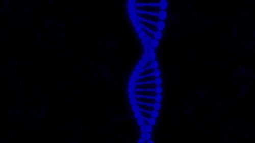 Futuristic Rotating DNA Helix Science Background Loop