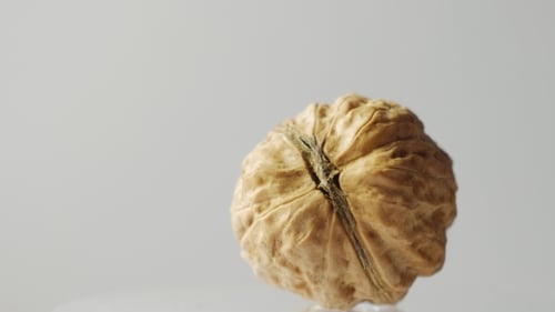 Close Up of Brown Textured Walnut Rotating