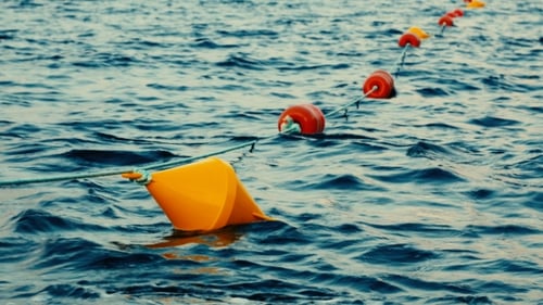 Farbige Bojen, die in einem Seehafen schwimmen