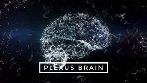 Plexus Brain Rotation #2