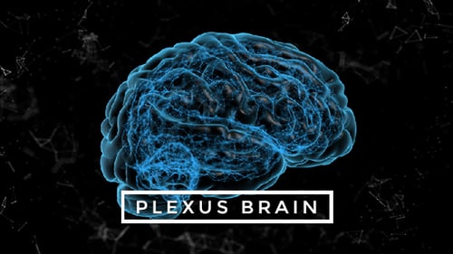 Plexus Brain Rotation #5