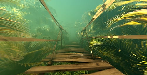Atmospheric 3D Jungle Rope Bridge Adventure Fly-Through
