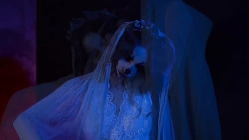 Woman Dressed as a Dead Bride for Halloween