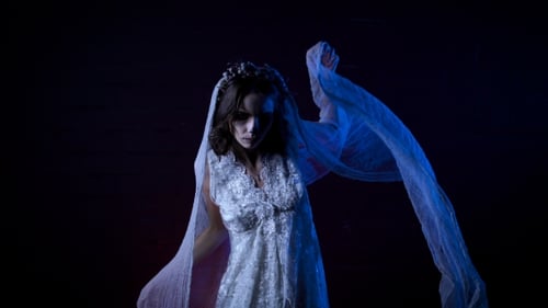 Woman in Dress with Skeleton Makeup Posing