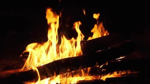 Lagerfeuer brennt nachts in Zeitlupe 240 Fps. Flammen des Lagerfeuers in der Natur.