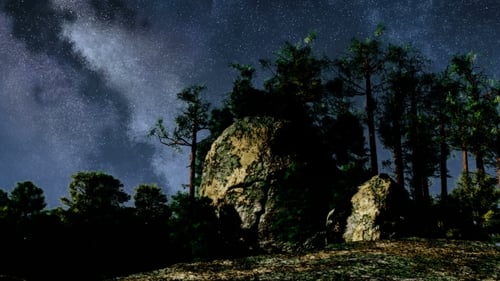Milky Way Galaxy Over Forest Landscape at Night