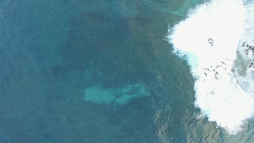Aerial Shot of Blue Ocean Surface and Foamy Waves