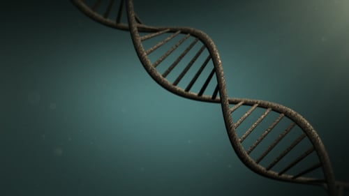 Rotating DNA Double Helix Science Animation