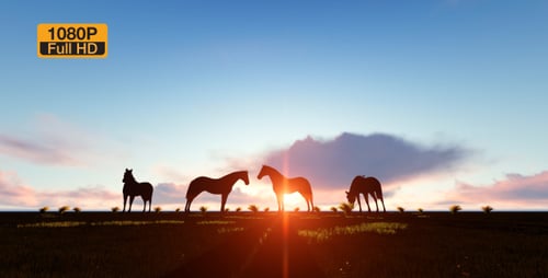 Silhouettes of Horses Grazing in Field at Golden Sunset