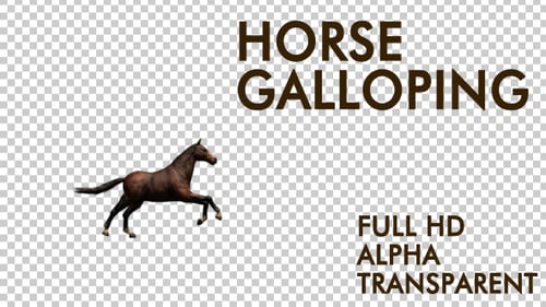 Galloping Brown Horse Running Across Transparent Screen Animation
