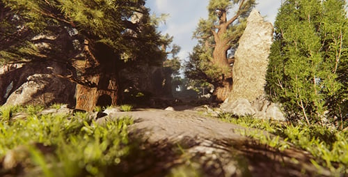 Fantastic Flying Camera Through The Ravine
