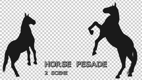 Horse Pesade Silhouettes - 2 Scene