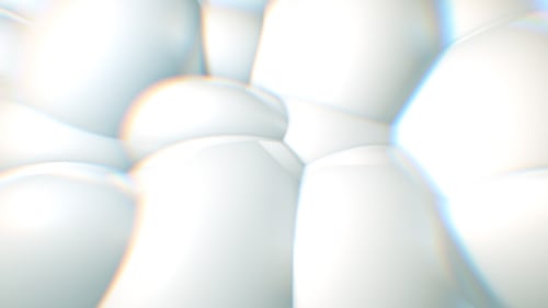 Clean Abstract White Morphing Organic Shapes Background