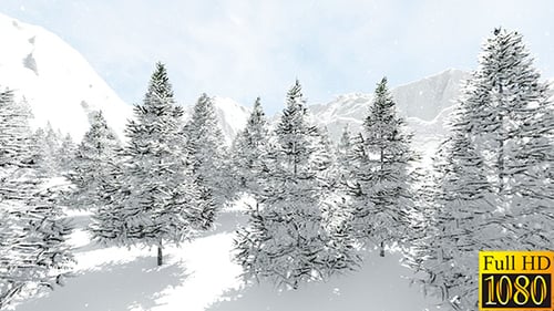 Verschneite Tannen