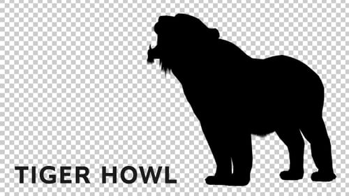 Tiger Howl Silhouette