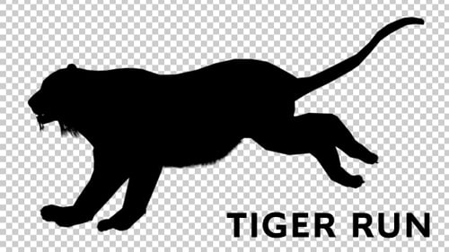 Tiger Silhouette - Run