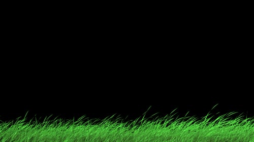 Animated Green Grass Bottom Border Element with Alpha