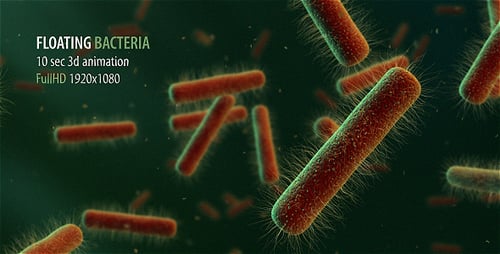 Animated Bacteria Cells Moving in Microscopic Fluid Environment