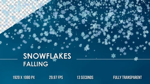 Winter Snowflakes Overlay Loop with Alpha
