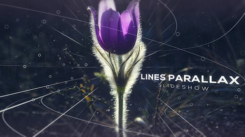 Dynamic Abstract Lines Parallax Slideshow Opener