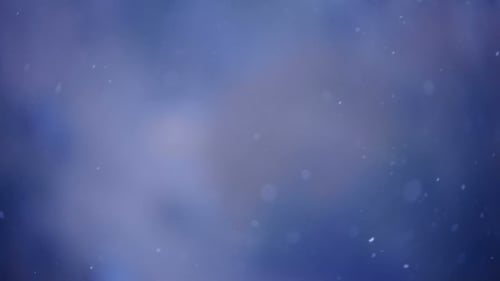 Falling Snow Snowfall. Loopable Motion Background