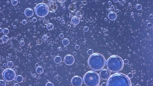 Translucent Blue Bubbles Floating