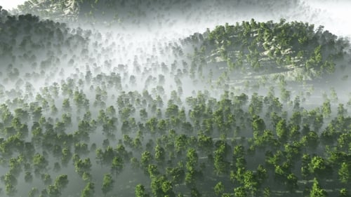 Serene Aerial Footage of a Foggy Forest Landscape