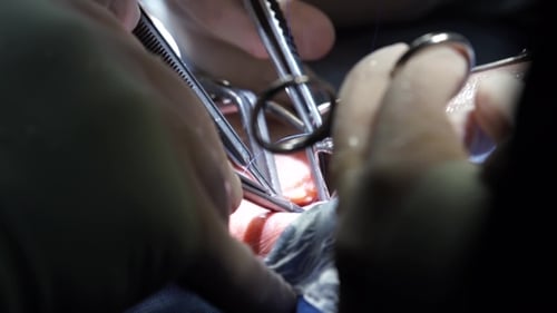 Surgeons Performing Medical Procedure With Surgical Instruments