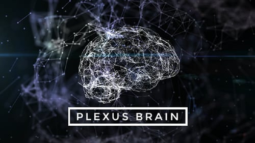 Plexus Brain Rotation #7