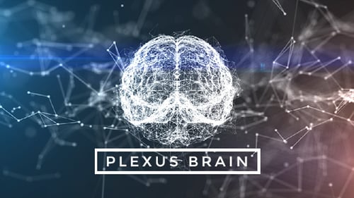 Plexus Brain Rotation #9