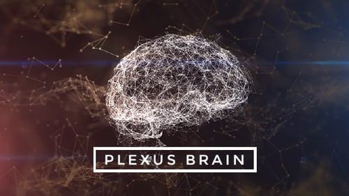 Plexus Brain Rotation #8