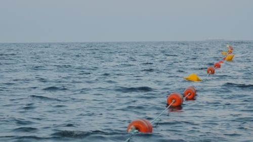 Farbige Bojen, die in einem Seehafen schwimmen