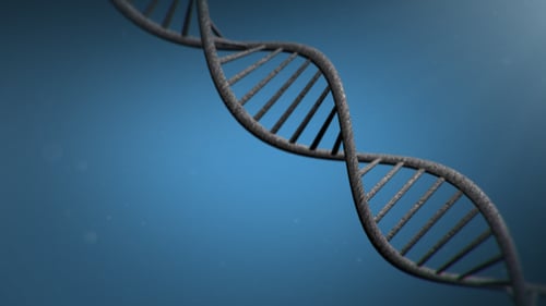 3D Rotating DNA Helix Loop Animation