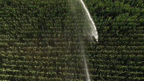 Sistema de Riego Agrícola 12