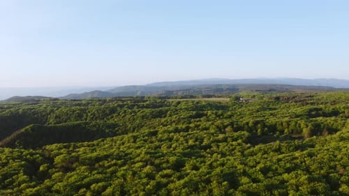 Mountain vegetation aerial view