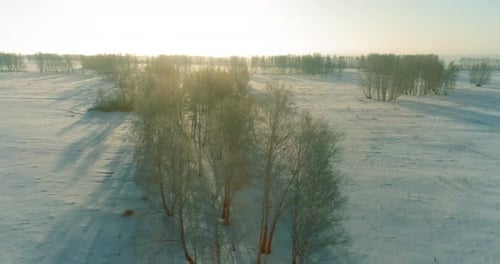 Drohnenansicht der kalten Winterlandschaft mit arktischem Feld, mit Frostschnee bedeckten Bäumen und